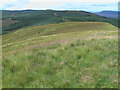 NH4199 : Summit ridge of Beinn Chreagach looking west by ian shiell