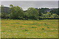 Q8311 : Meadow near Clahane by Adrian Platt