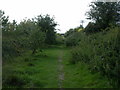 Ringwood, railway trackbed