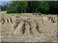 Corn stooks, Hilcott