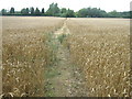 Footpath to New House Lane