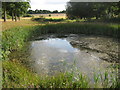 TQ8843 : A series of farm ponds in Oaklands Farm by David Anstiss