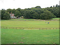 Cricket ground, Burntstump