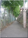 SE2020 : Footpath - Dunbottle Lane by Betty Longbottom