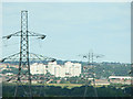 View from the Kent side of the QEII Bridge #2