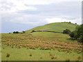 Moel-Ddolwen from the west