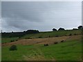 Clough Head and Old Lindley Moor