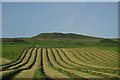 NR6420 : Fields & hillside south of West Trodigal by Leslie Barrie