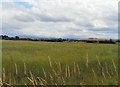 Farmland at Littlemoss