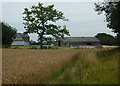 Wheat field and farm buildings