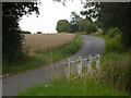 Lane towards Battisford