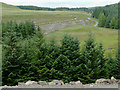 Forestry and moorland south-east of Llanddewi-Brefi, Ceredigion