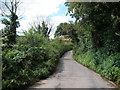 Narrow lane, near Dunchideock House