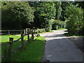 Lane looking between Little Streele and Blackboys