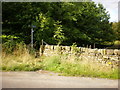 Stile on the Millennium Way