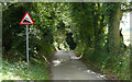 Warren Lane - Steep Hill 20%