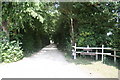 Driveway to New Shifford Farm