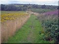 Bridleway through Stafford