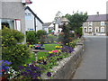 A splash of colour at the junction of Lon Refail and Lon Penmynydd