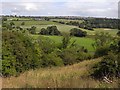 NZ1098 : Cooquet valley near Thornyhaugh Farm by Oliver Dixon