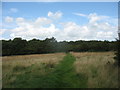 Public footpath leading from the Garnedd estate towards the A55