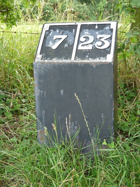 Milepost 7 on the Ashby Canal