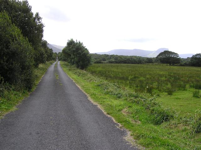 Road at Mulannyduff