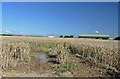 Hangars on the horizon - St Athan