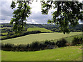 Fields above Afon Teifi