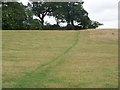 Footpath, Hatt Hill