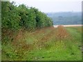 Bridleway near Dean