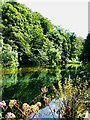 Lake at Ruskin Mill College, Nailsworth