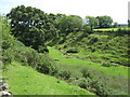 Gill Bank at Lynesack, County Durham