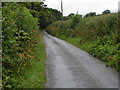 Lane near Friars Ball Farm