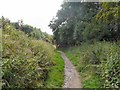 Muddy Footpath