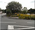 Winslow Avenue Bench