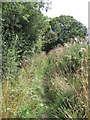 View of Bridleway