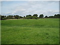 Moat near Elton