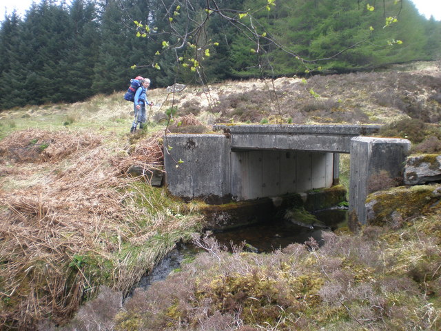 Bridge of forest track over Salachy River