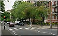 The zebra crossing at Abbey Road