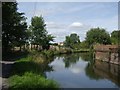 Stourbridge Canal - Demolished firebrick works