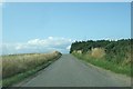 Road towards Mill of Criggie