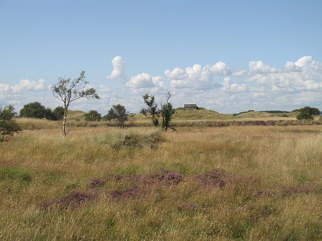 Barry Links © Richard Webb cc-by-sa/2.0 :: Geograph Britain and Ireland