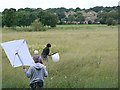 Luscious Mead, Roding Valley Meadows