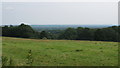 View to Paddock Wood and Weald