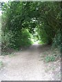 Old Lane - viewed from Dyson Wood Way