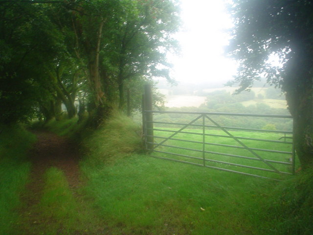 Ancient lane through fields and woods