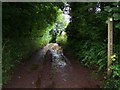 Restricted Byway, Halse