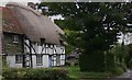 Cottages at the west end of Owslebury