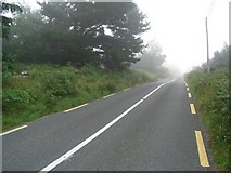T2398 : The R763 Ashford to Annamoe Road in the Townland of Tiglin, Co. Wicklow by JP